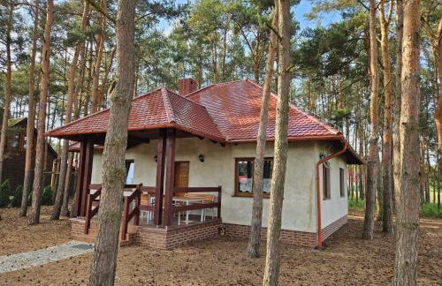 Leśny Zakątek - Foto 5