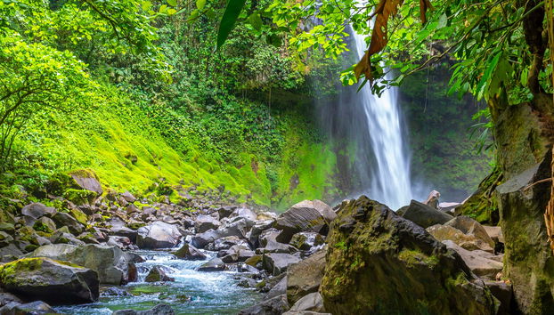Arenal Volcano & La Fortuna Waterfall Tour - Foto 4