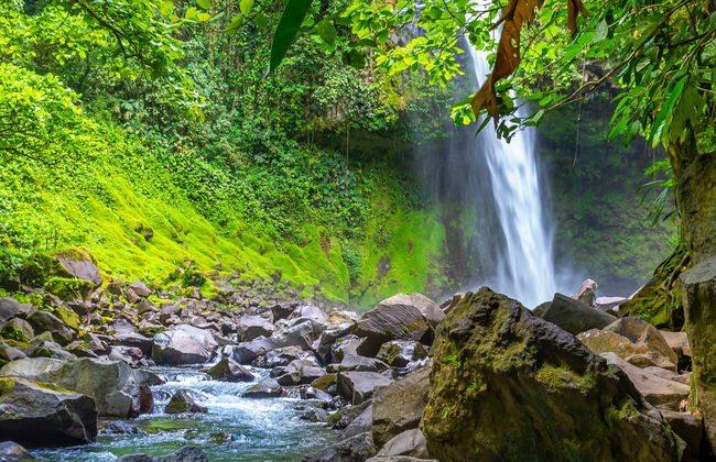 Arenal Volcano & La Fortuna Waterfall Tour - Foto 4