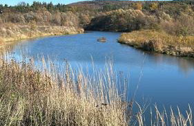 Winnica Strzegocice SPA - Foto 56