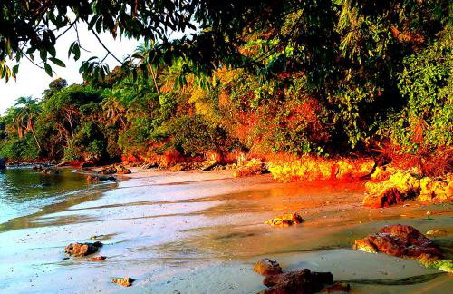 Bangalô dos Sonhos - Foto 22