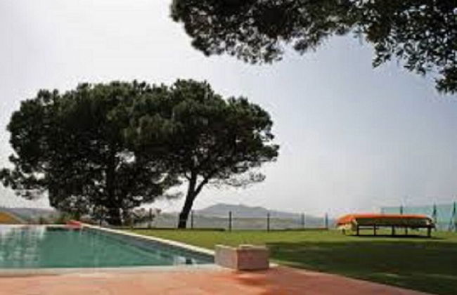 Shepinetree - Pinheira House - Foto 45