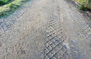 Clashmore Wood - Foto 25