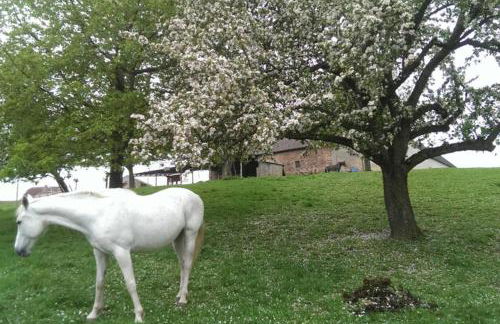 Sinnes Wandel Hof Serka - Foto 4