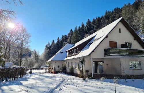 Ferienwohnungen-Allerheiligen-Wasserfälle - Foto 9