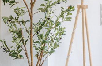 Kalina Suites - Apartment am Rhein, Nähe BASF, AbbVie, Uni MA - Foto 21