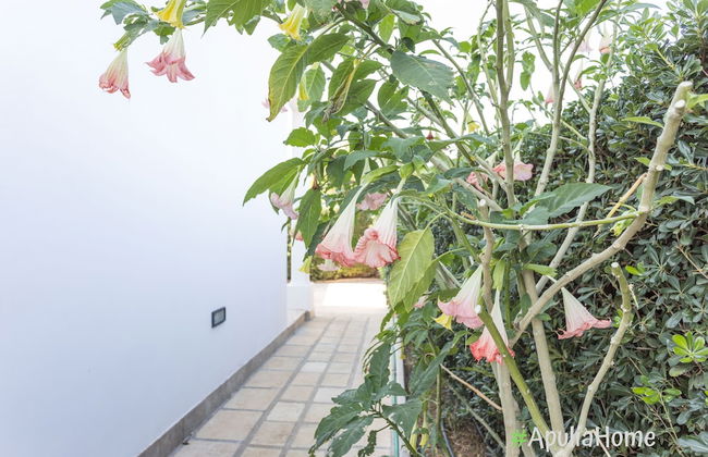 Villa Olivares - Foto 27