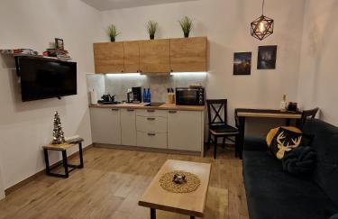 Dusznickie Apartamenty z widokiem - Foto 47