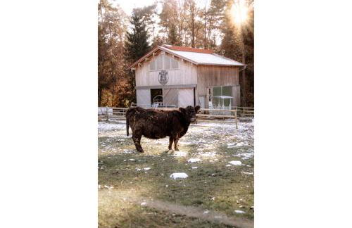 Ferienwohnung Weideblick Gänsberg - Foto 24