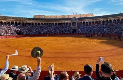 Montequinto Getaway Teletrabajo Relax y Sevilla a tu Alcance - Photo 23