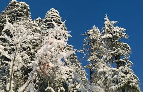 Fresh View Homestay - Foto 21