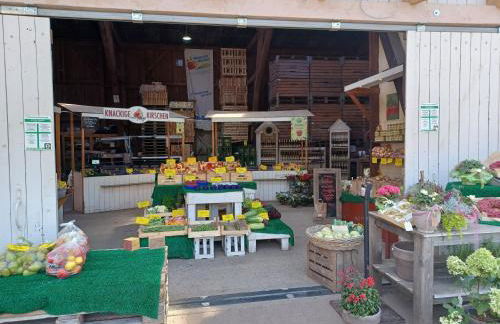 Ferienwohnung am Elbstrom - Foto 20