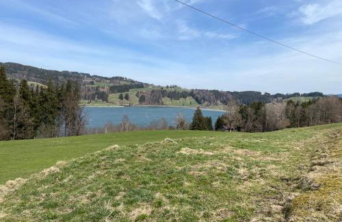 Ferienwohnung Am Goldbach Pool Sauna - Photo 30