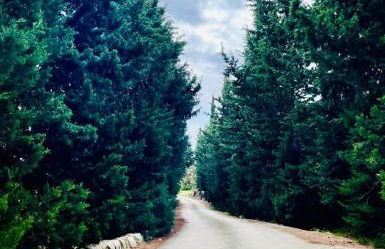 Strelitzia's house with heated pool , private garden and private parking & wi-fi - Foto 50