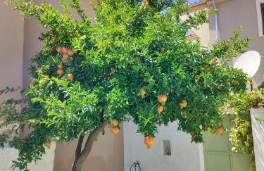 ilkay's House - Foto 2