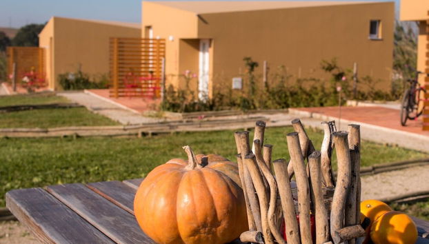 Entre Vinhas & Mar - Foto 2, Profilbild