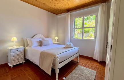 Domingos Reis - Foto 18