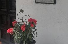 Resort Village - Foto 27