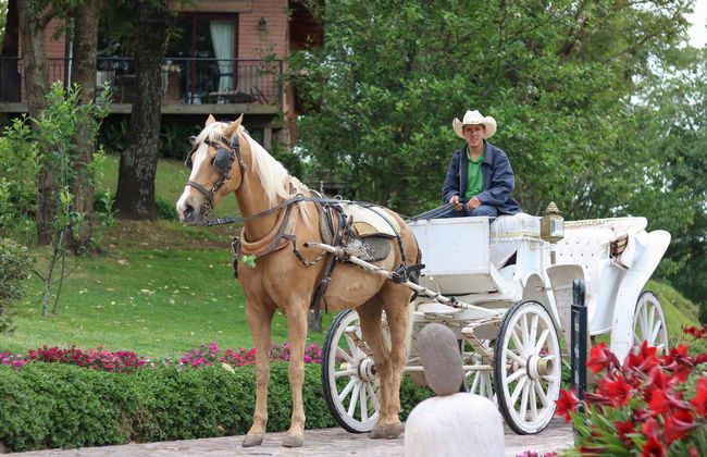 Sierra Lago Resort & Spa - Foto 74