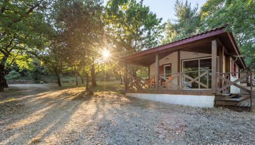 Mas Saint Antoine - Photo 4, Garden