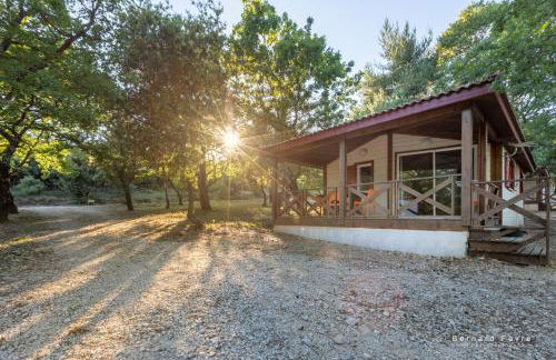 Mas Saint Antoine - Foto 4