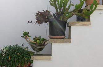 Monolocale Garden - Foto 12