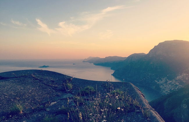 Tenuta Novecento Bio Agriturismo - Foto 40