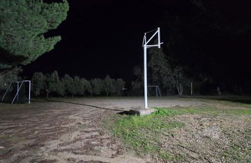 Finca El Palmar - Foto 19