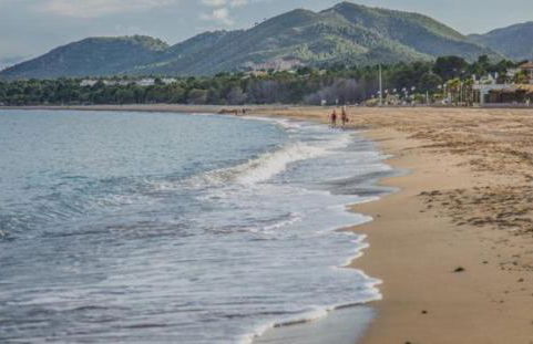 Little love - Foto 7