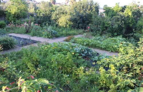 Quinta do Regalo - Foto 56