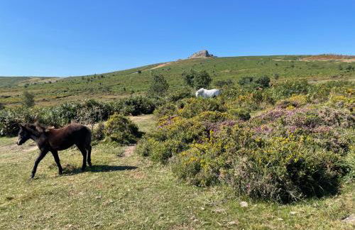 Dartmoor Cottage - Foto 15