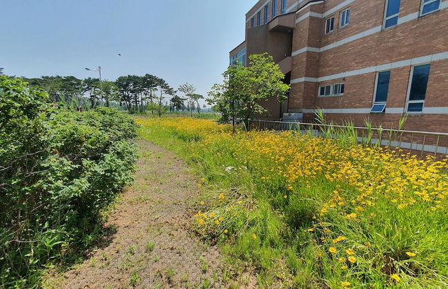 Haha Pension - Foto 52