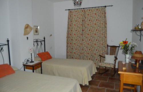 El Olivo del Moreno - Foto 7