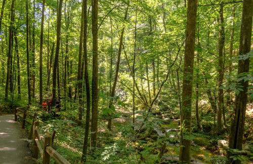 Mountain Top Retreat - Foto 47