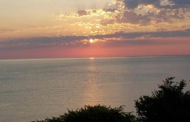 Ammos papanero - Foto 24