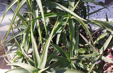 Gite La vallée du silence - Foto 24