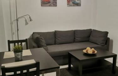 Apartamento Edificio Carruaje - Foto 10