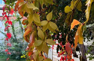 Ferienwohnung Nauen Familie Renner - Foto 26