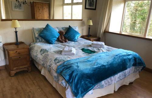 Stables, 1 or 2 bedroom Eco earth house, edge of Dartmoor - Foto 8