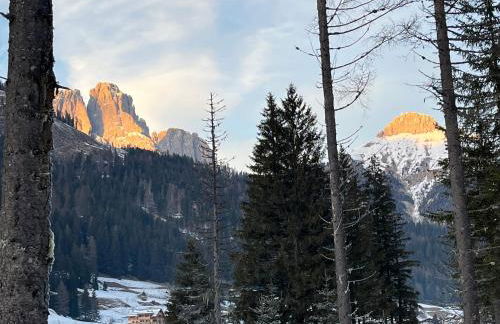 Mes Lastei - Foto 50