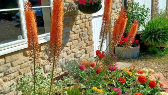 Greystones Lodge - Foto 3