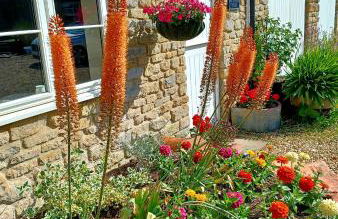 Greystones Lodge - Foto 3