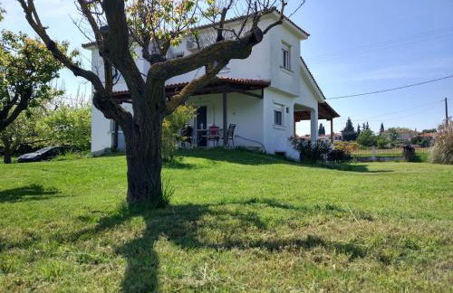 Entire villa with big garden and BBQ amenities - Foto 32