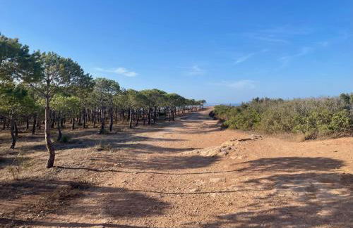 E&M Apartment Luz - Foto 11