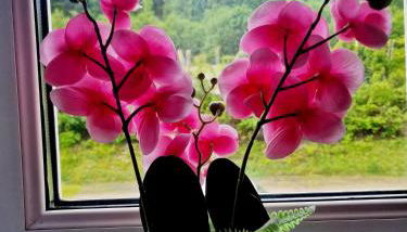 Holiday Apartment near Triberg Waterfall - Foto 5, Garden view