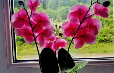 Holiday Apartment near Triberg Waterfall - Foto 5