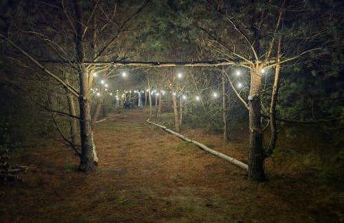 Domki Bory Tucholskie - Kurs na wypoczynek - Foto 30