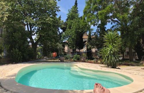 Maison du Midi, 2 Gîtes de charme - Foto 17