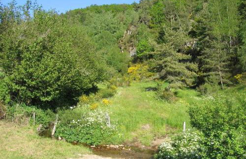 Lozère St Alban Aubrac Margeride gîte 4 étoiles 8 personnes au calme près nature - Foto 39
