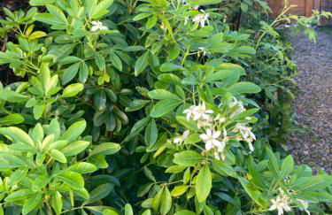 Studio avec terrasse et parking au Mans - Foto 14